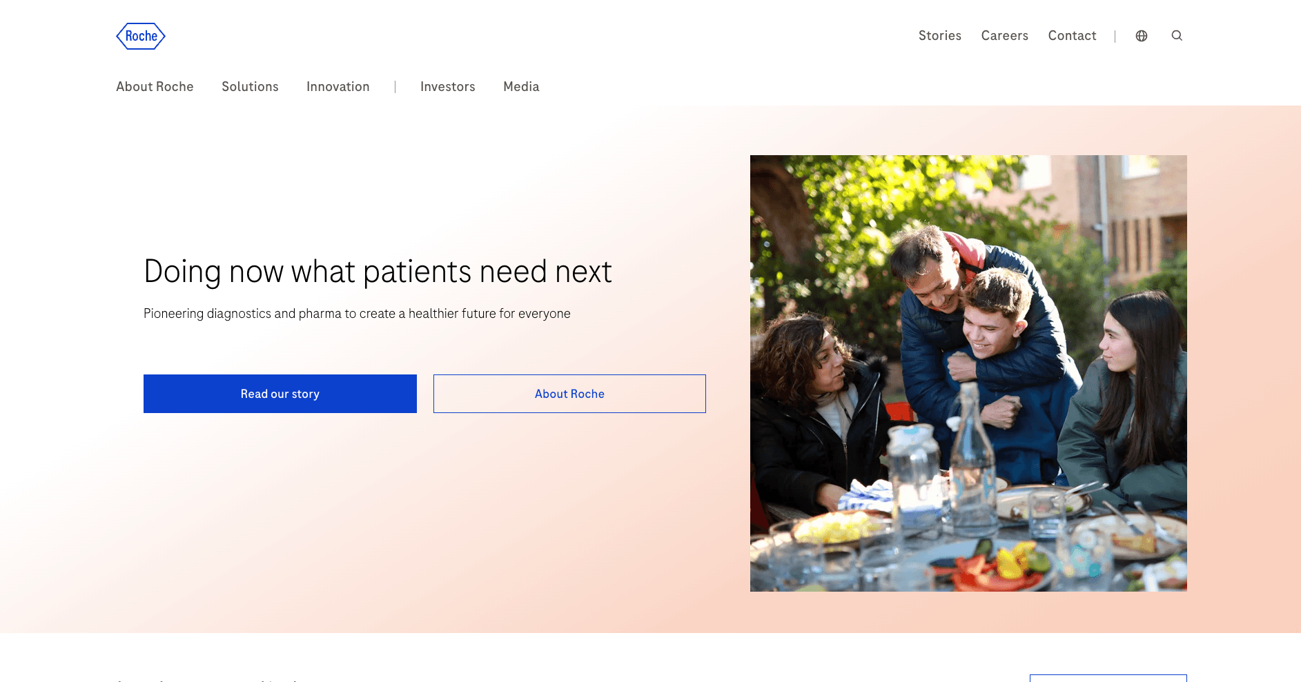 Roche — Pharmaceuticals